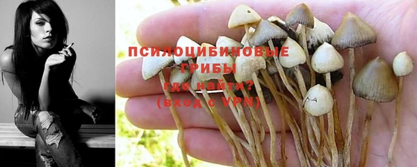 бошки Абаза