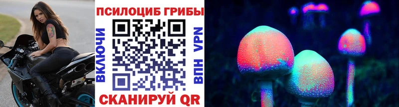 Псилоцибиновые грибы MAGIC MUSHROOMS  Владикавказ 