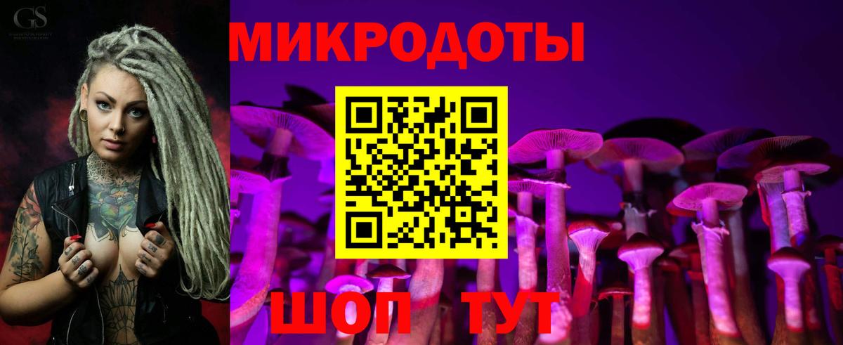 Псилоцибиновые грибы GOLDEN TEACHER  Галлюциногенные грибы GOLDEN TEACHER  хочу наркоту  Вход с VPN  Владикавказ 
