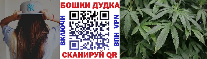 где купить наркотик  Владикавказ  Канабис THC 21% 